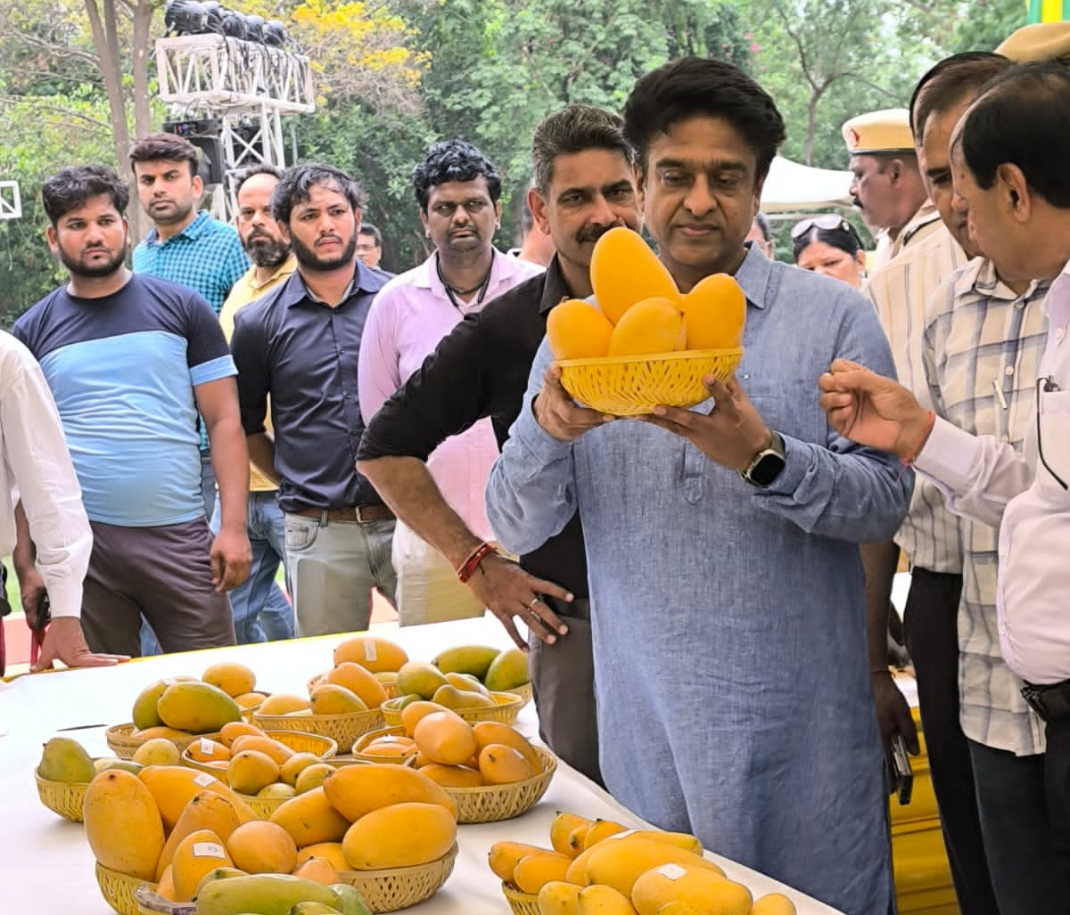 नई दिल्ली में आमों का रंगारंग उत्सव, ‘राजा वाला’ आम बना मुख्य आकर्षण