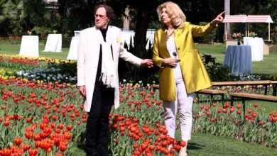 Tulip Festival Delhi 2026: डच संस्कृति का प्रतीक ट्यूलिप, दिल्ली में दिखी यूरोप की बागवानी विरासत