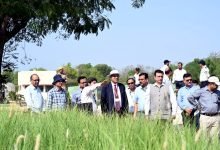 चरागाह विकास मिशन को मिलेगी नई गति, कार्बन क्रेडिट तंत्र मजबूत करने पर जोर