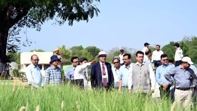 चरागाह विकास मिशन को मिलेगी नई गति, कार्बन क्रेडिट तंत्र मजबूत करने पर जोर