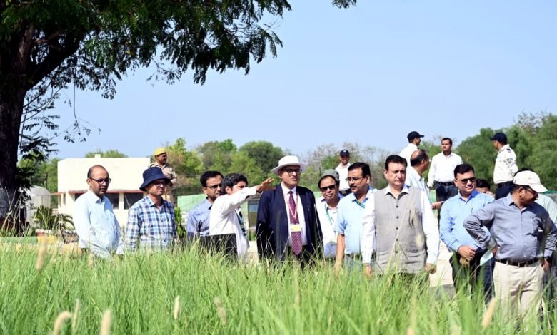 चरागाह विकास मिशन को मिलेगी नई गति, कार्बन क्रेडिट तंत्र मजबूत करने पर जोर